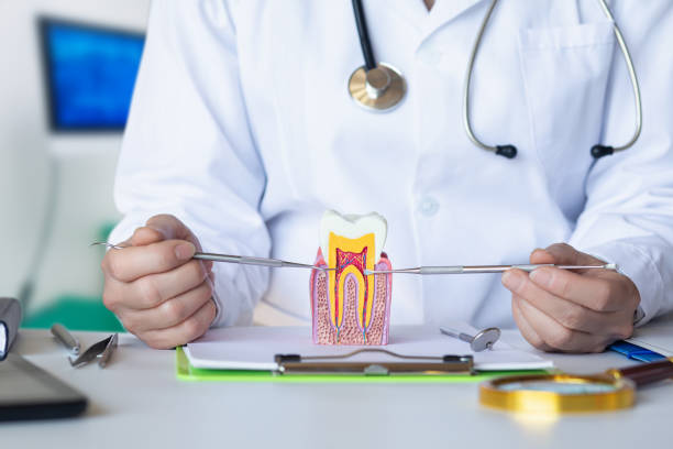 Best Emergency Tooth Extraction in Midland Park, NJ